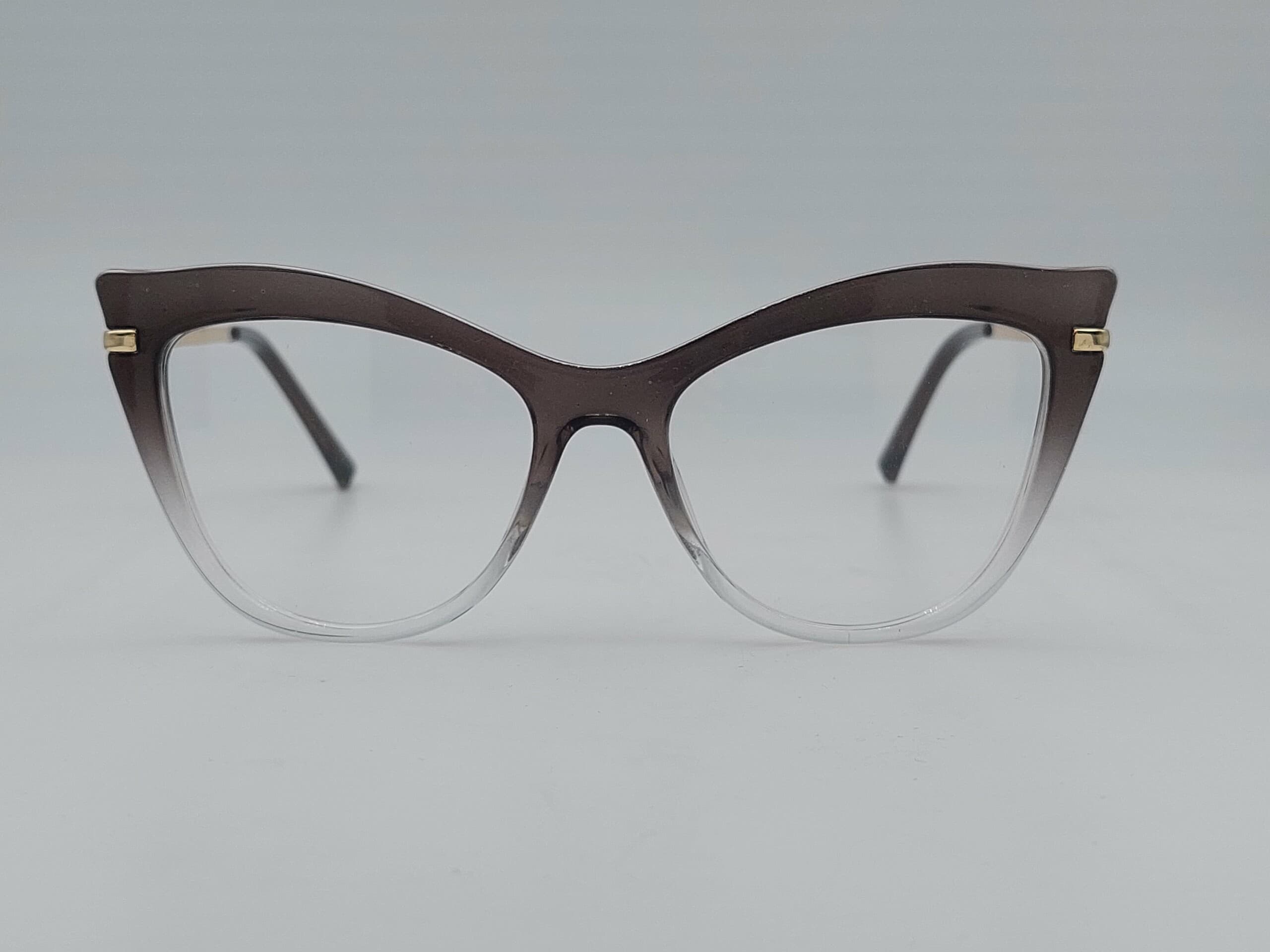 Диоптрична рамка 6000 C6