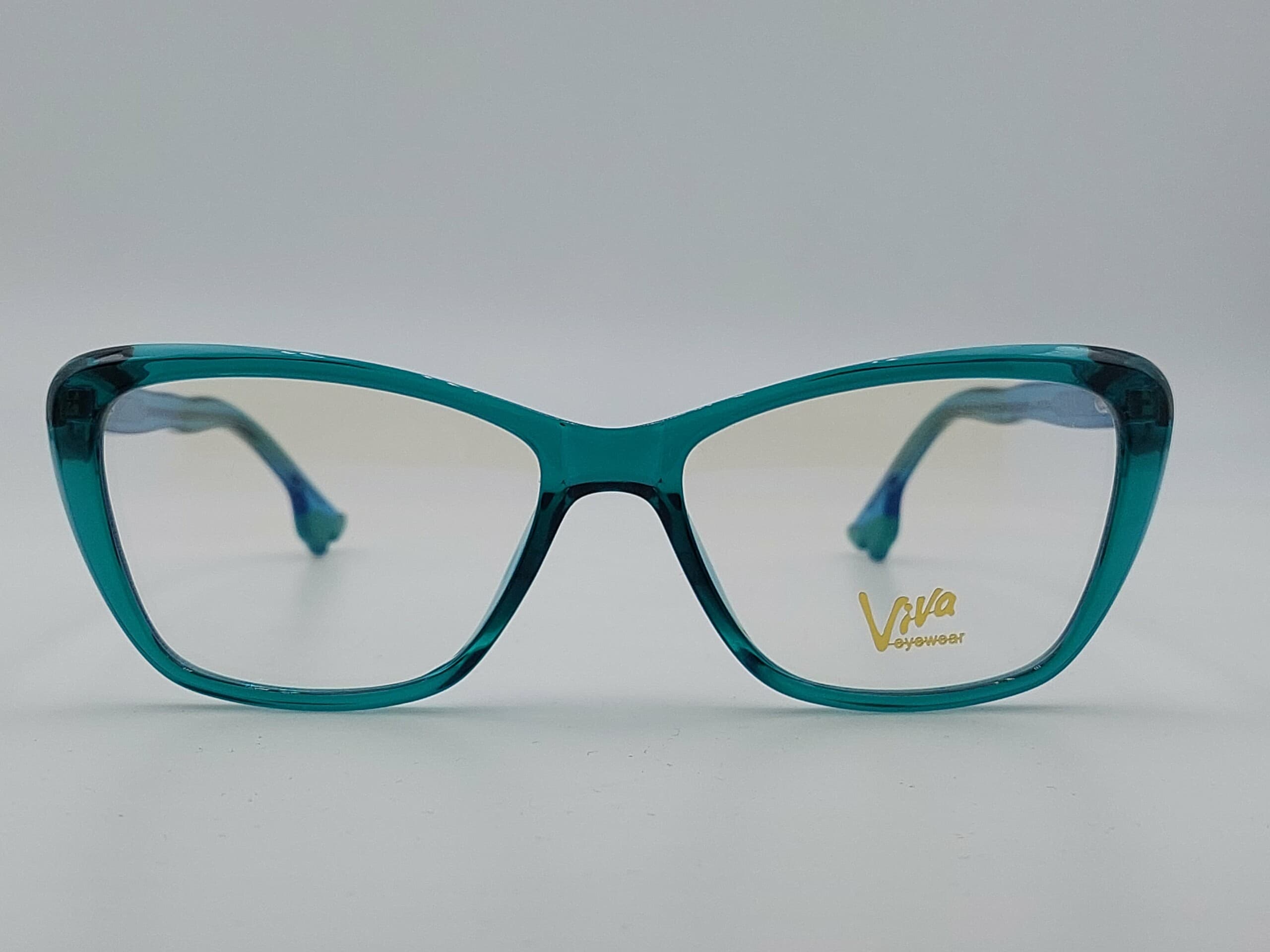 Диоптрична рамка 2029 C6