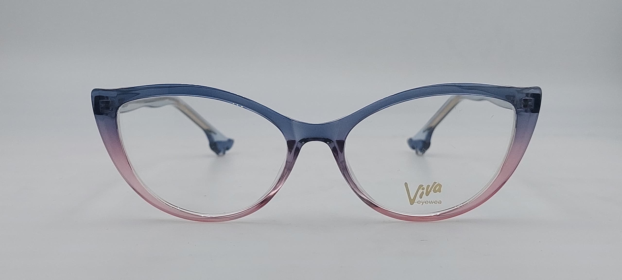 Диоптрична рамка Viva 9828 C14