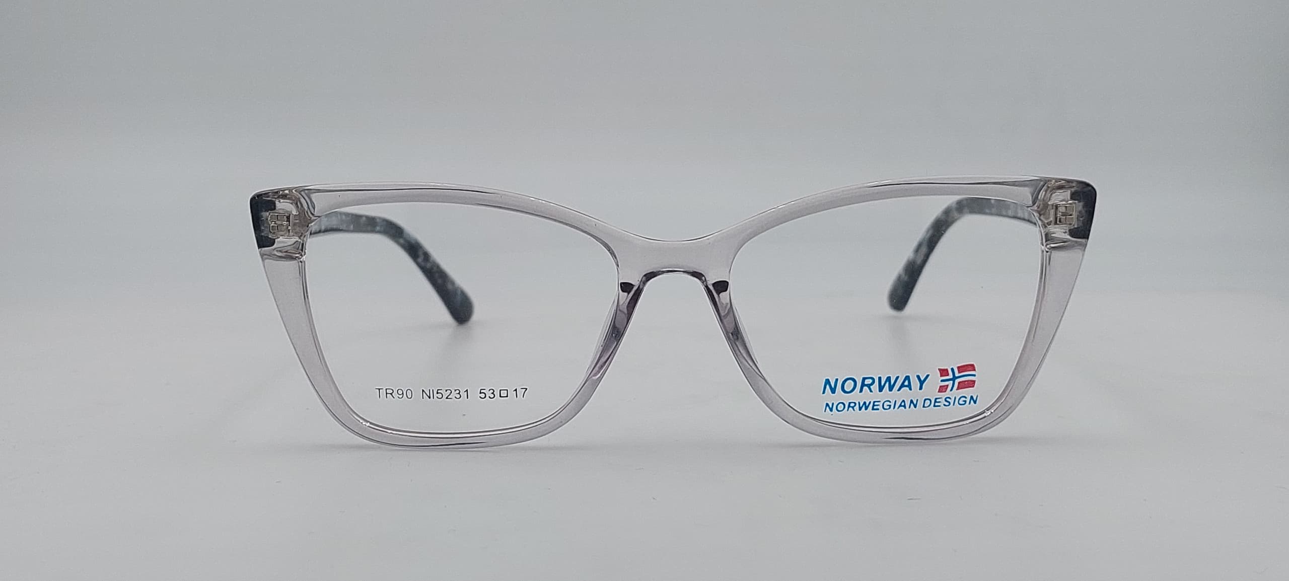 Диоптрична рамка Viva 5231 C2